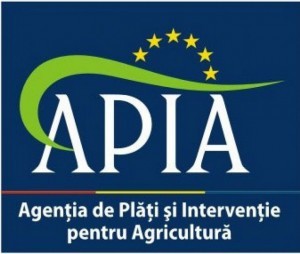 apia-punct-lucru-abrud