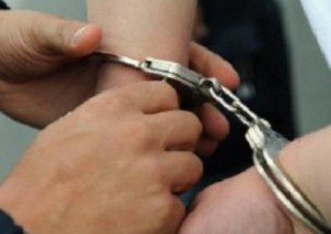 barbat-rosia-montana-viol-batrana