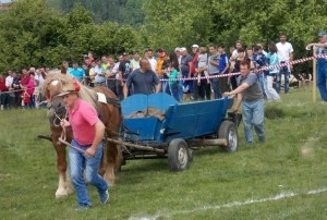 concurs-hipo-cai-apuseni-1-iunie-2015